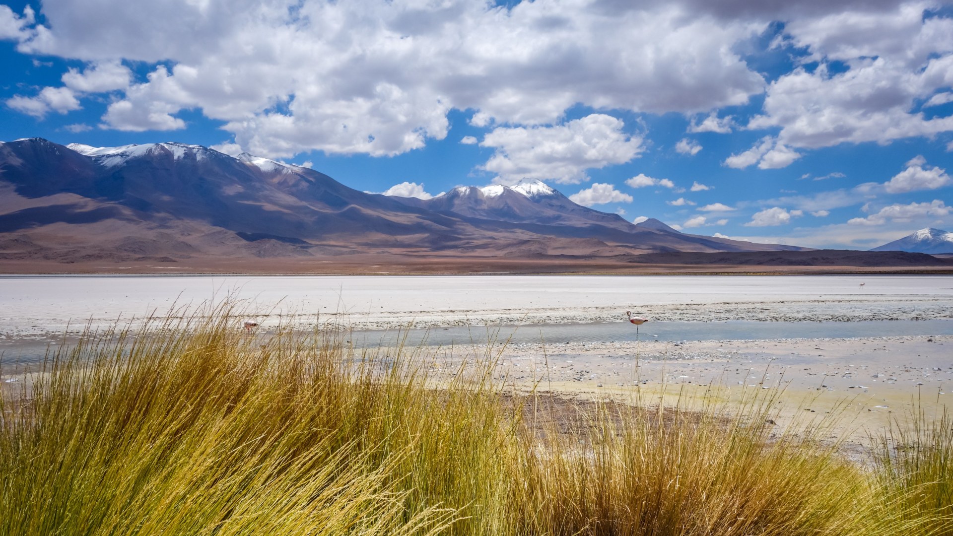Dem Himmel so nah auf den höchsten Bergen Boliviens